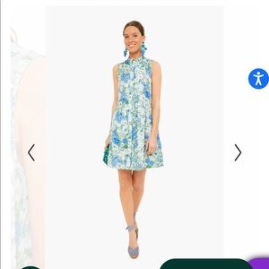 Tuckernuck Jardin De Fleurs Sleeveless Royal Shirt Dress XS